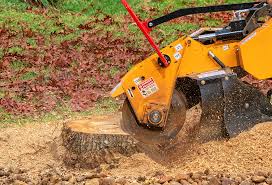 Best Stump Grinding and Removal  in Richmond, TX