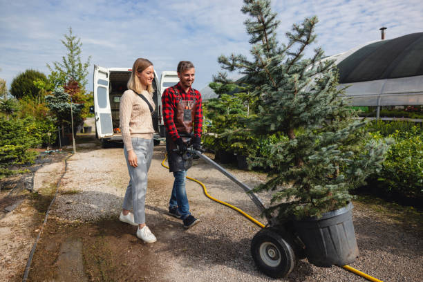 Best Lawn Grading and Leveling  in Richmond, TX